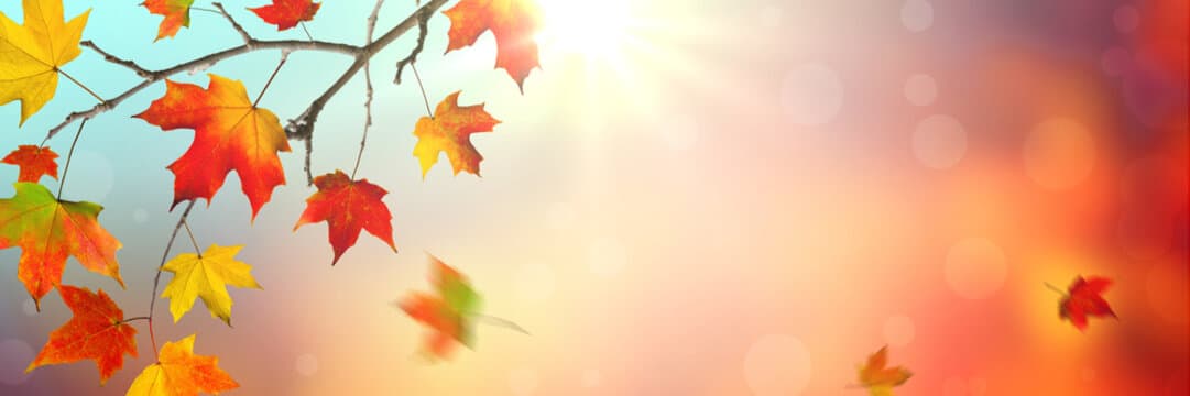 Fall Retreat